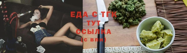 тгк Бородино