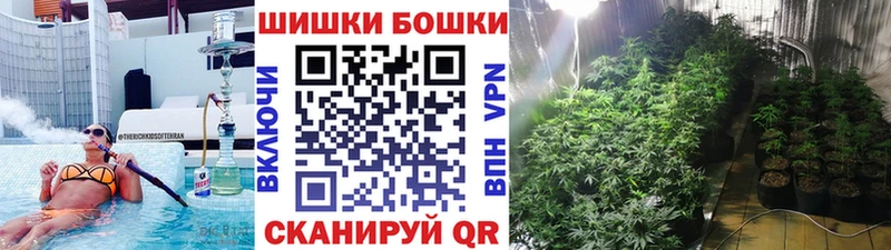 Конопля планчик  гидра   Петухово  где можно купить  